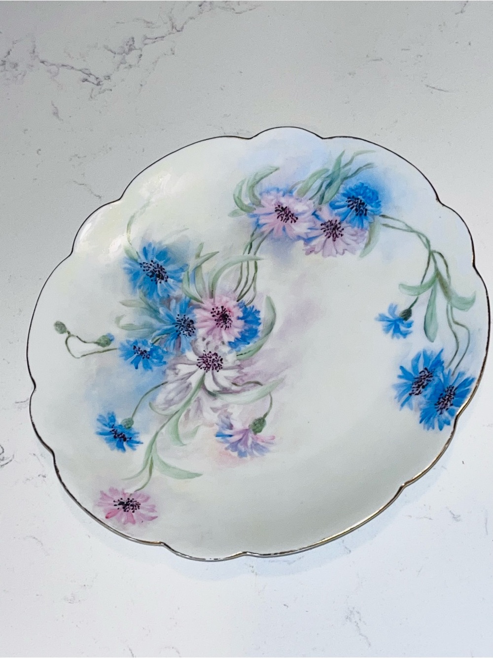 Antique Early 1900’s hand painted porcelain plate 9”Rosenthal & Co Germany